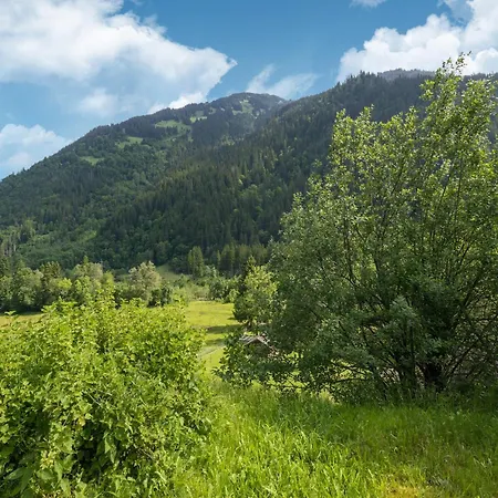 Near In St Gallenkirch Holiday home