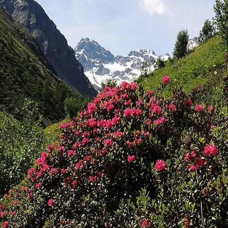 Near In St Gallenkirch * Sankt Gallenkirch