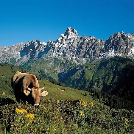 Near In St Gallenkirch Sankt Gallenkirch