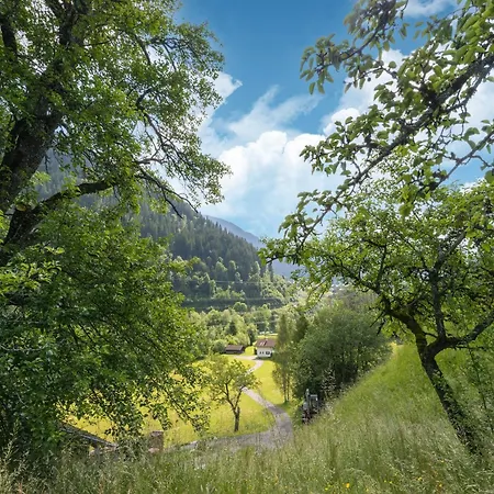 Near In St Gallenkirch * Sankt Gallenkirch