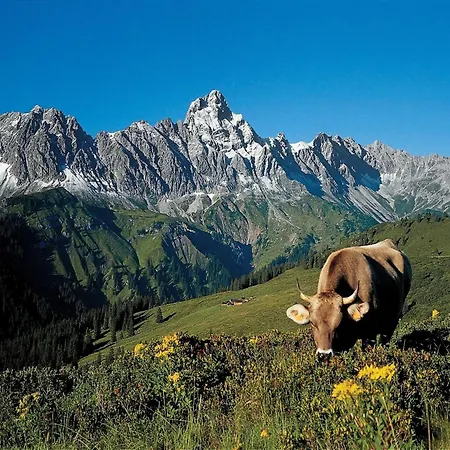 Prázdninový dům Near In St Gallenkirch