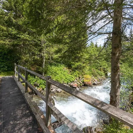 Near In St Gallenkirch *