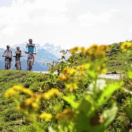 Near In St Gallenkirch 度假居 圣加伦基希