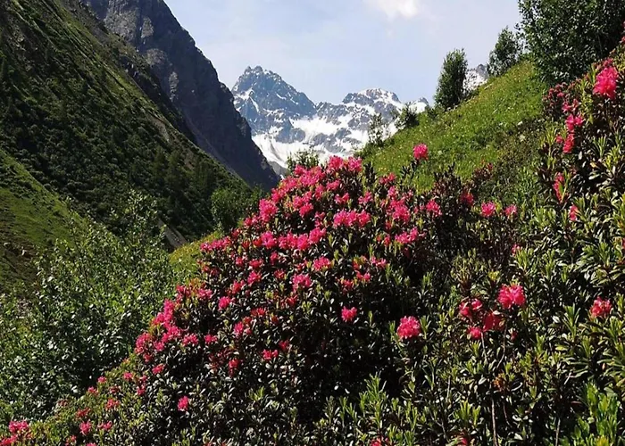 Near In St Gallenkirch * سانكت غالنكرش