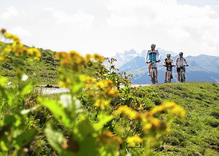 بيت للعطل Near In St Gallenkirch *