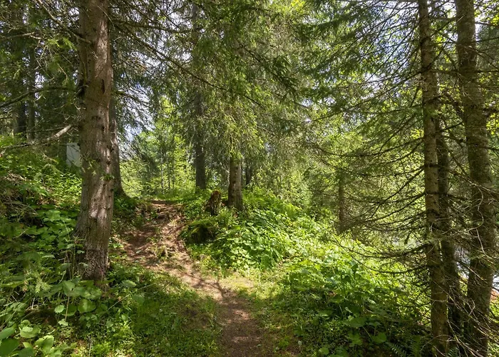 بيت للعطل Near In St Gallenkirch