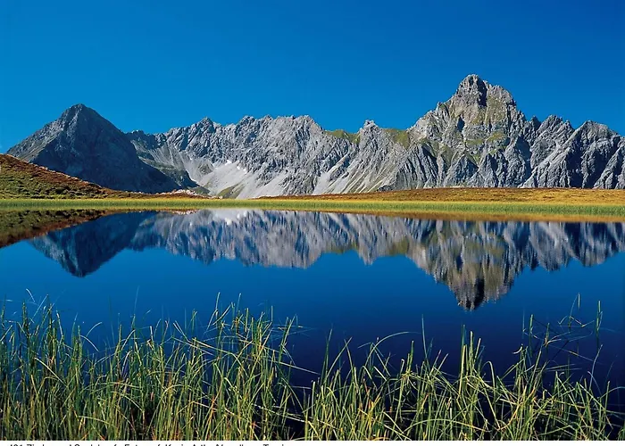 Near In St Gallenkirch بيت للعطل سانكت غالنكرش