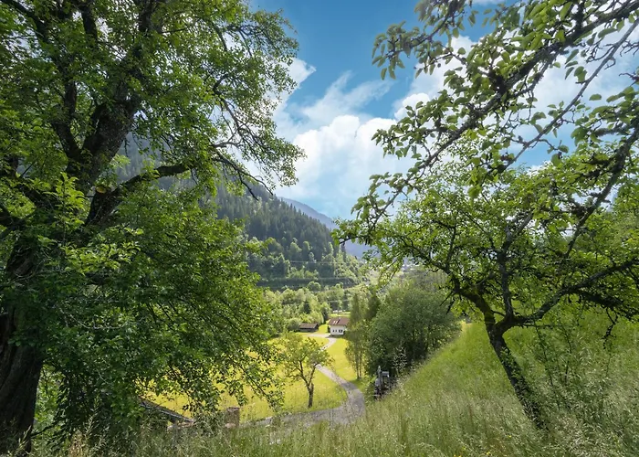 Near In St Gallenkirch * سانكت غالنكرش