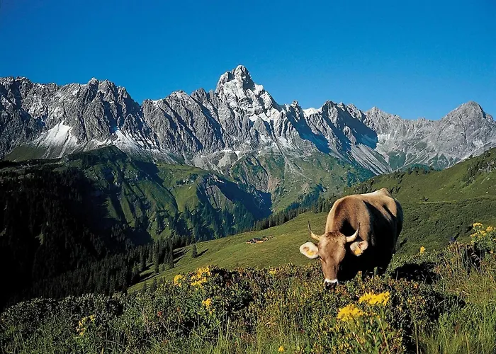 بيت للعطل Near In St Gallenkirch