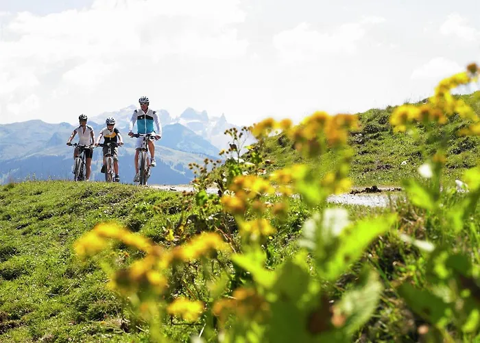 Near In St Gallenkirch بيت للعطل سانكت غالنكرش